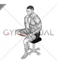 Seated Toe Flexor And Foot Everter Stretch