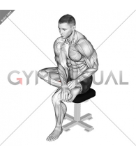 Seated Toe Flexor And Foot Inverter Stretch