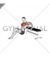 Sitting Shoulders Stretch On Bench