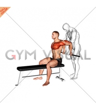Assisted Sitting Reverse Shoulder Stretch