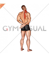 Adduction Of Arm In Back Stretch