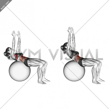 Crunch (on stability ball, arms straight)
