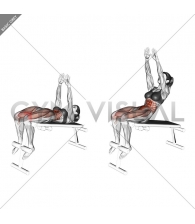 Decline Sit-up (arms straight)