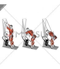 Ski Ergometer