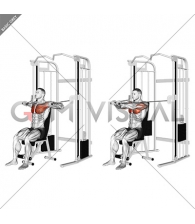 Cable Seated Chest Press