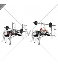 Barbell Reverse Close-grip Bench Press