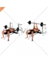 Barbell Reverse Close-grip Bench Press