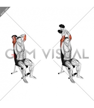 Dumbbell Seated Triceps Extension
