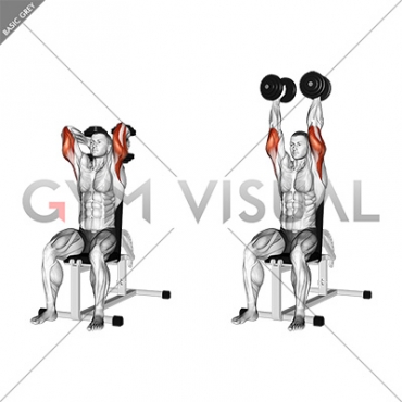 Dumbbells Seated Triceps Extension