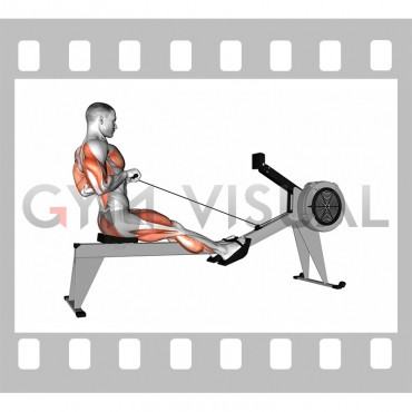 Rowing (with rowing machine)