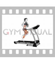 Run on Treadmill (female)