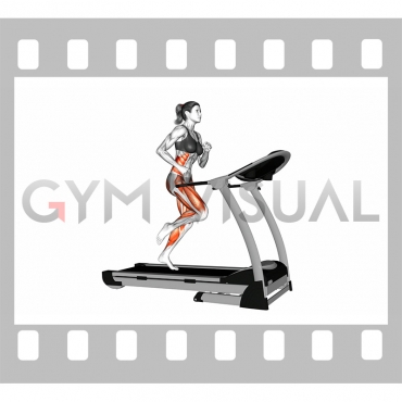 Run on Treadmill (female)