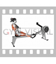 Rowing Straight Back (with rowing machine) (female)