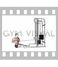 Cable one arm twisting seated row