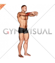Palms Out Forearm Stretch