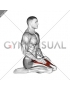 Seated Quadriceps Stretch