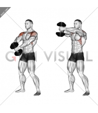 Dumbbell Front Raise (version 2)