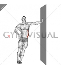 Standing Lower Trunk Lateral Flexor Stretch
