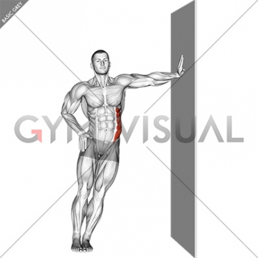 Standing Lower Trunk Lateral Flexor Stretch