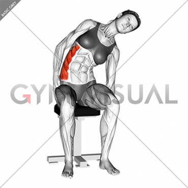 Sitting Lateral Side Stretch