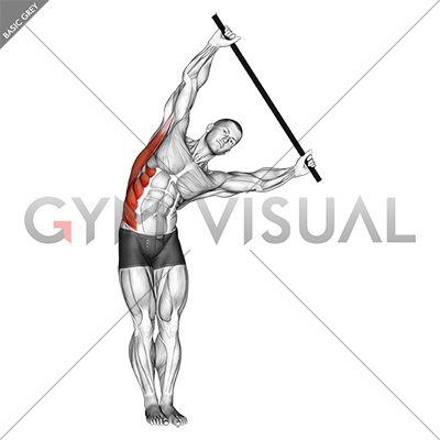 https://gymvisual.com/9526-thickbox_default/standing-side-stretch-with-stick.jpg