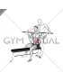 Assisted Obliques Stretch