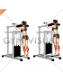 Lever Standing Calf Raise (female)