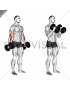 Dumbbell Hammer Curl (version 2)