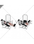 Lever lying leg curl - Stock Image - F002/4256 - Science Photo Library