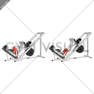 Sled 45 degrees Leg Press (female)