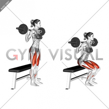 Barbell Bench Squat (female)