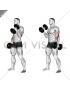 Dumbbell Hammer Curl