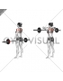 Barbell Upright Row (female)