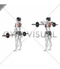 Barbell Upright Row (female)