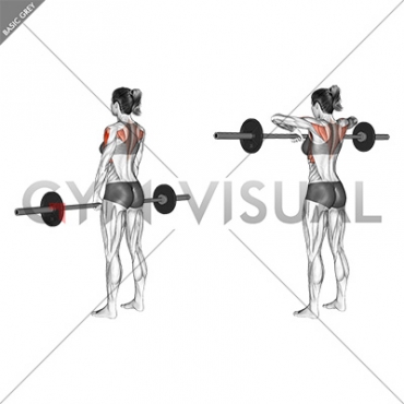 Barbell Upright Row (female)