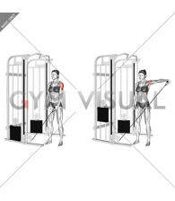 Cable One Arm Lateral Raise (female)