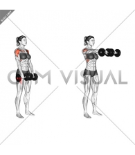 Dumbbell Front Raise (female)