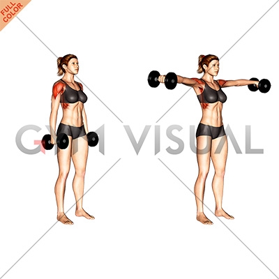 standing dumbbell side laterals