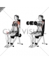 Dumbbell Seated Front Raise (female)