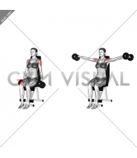 Dumbbell Seated Lateral Raise (female)