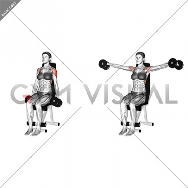 Dumbbell Seated Lateral Raise (female)