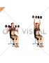 Dumbbell Seated Shoulder Press (female)
