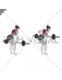 Barbell Bent Over Row (female)