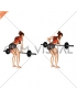 Barbell Bent Over Row (female)