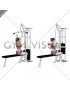 Cable Pulldown (female)