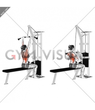 Cable Pulldown (female)