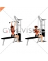 Cable Pulldown (female)