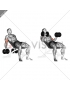 Dumbbell Incline Biceps Curl