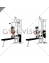 Cable Bar Lateral Pulldown (female)