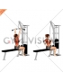 Cable Bar Lateral Pulldown (female)